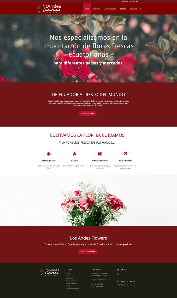 Andes Wordpress