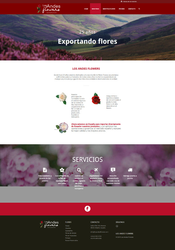 Andes Wordpress